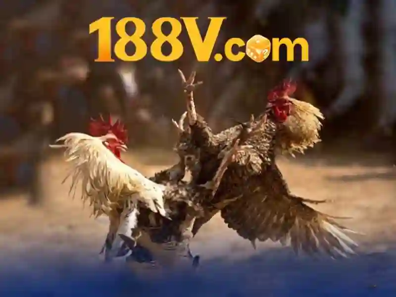 Chương Trình Ưu Đãi 188V