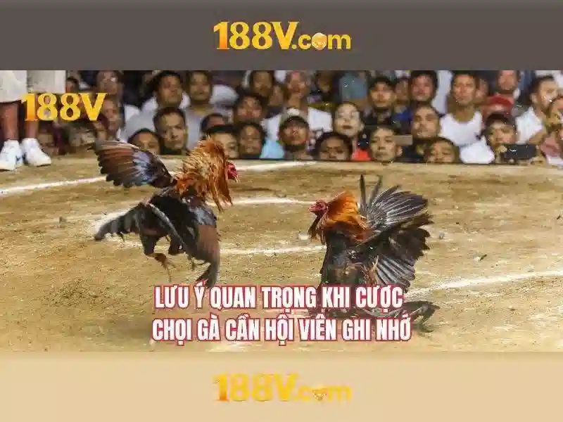 Tính năng nổi bật