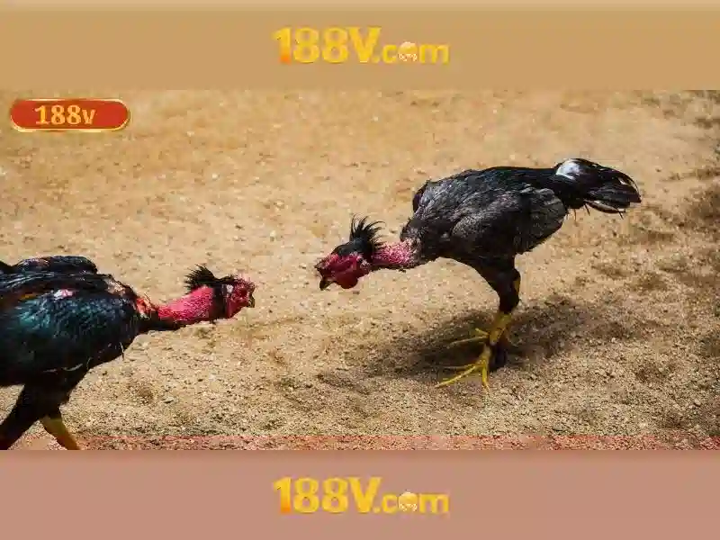 SLOT 188V