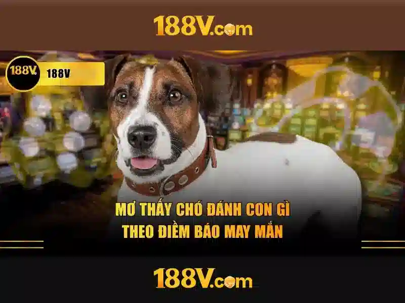 Đánh Giá 188V