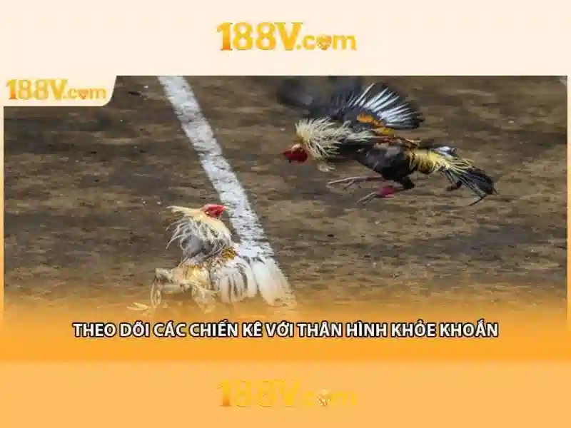 Cách tham gia slot 188v