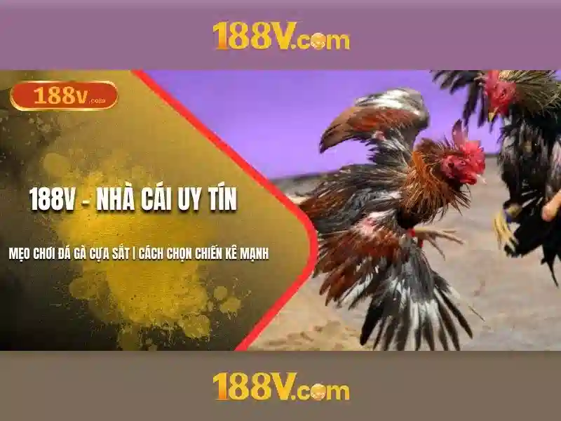 Đăng Nhập 188v