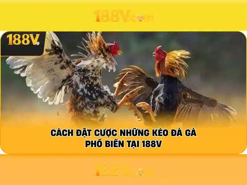 Tại Sao Nên Chọn Game 188v