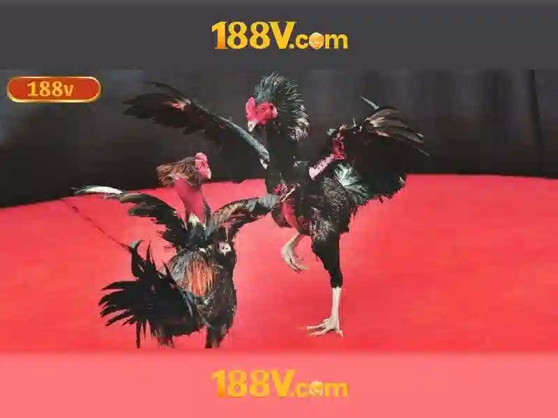 Trải Nghiệm Bắn Cá Slot 188V