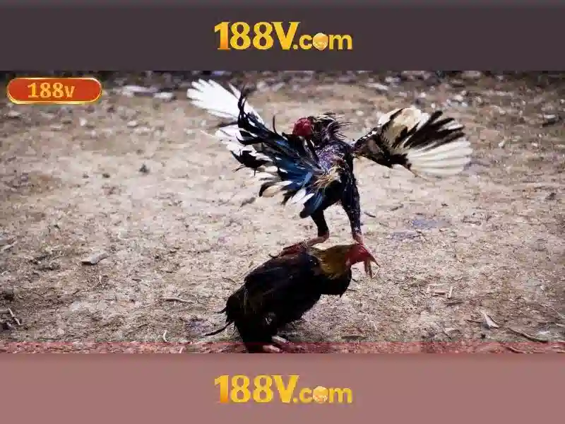 Công Bằng 18<br />8V