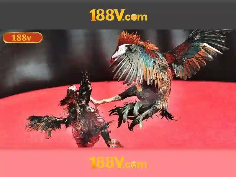 eSports 188v