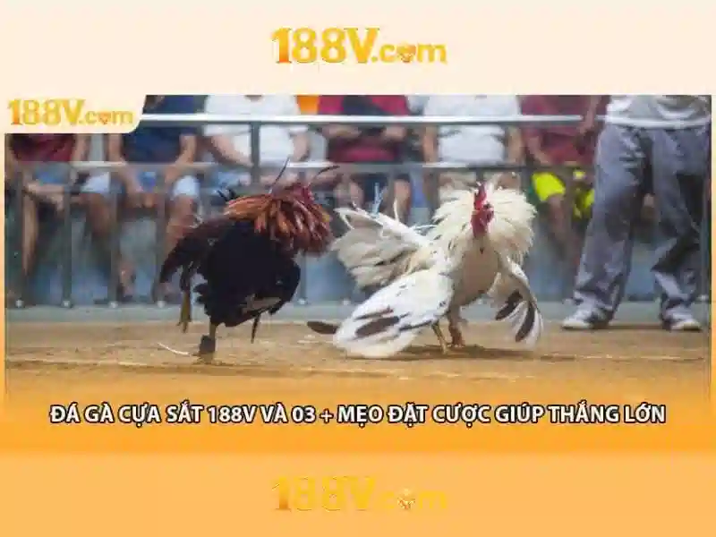 Đăng Ký 188V