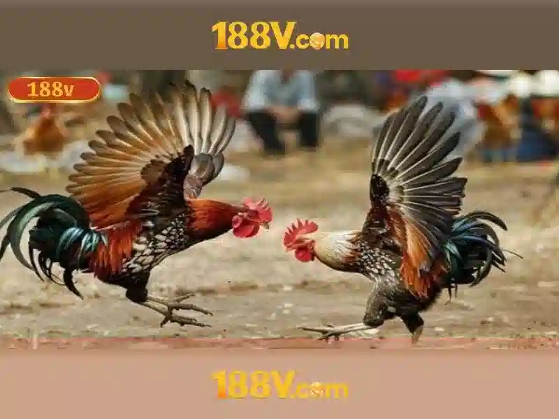 Chương Trình VIP Độc Quyền