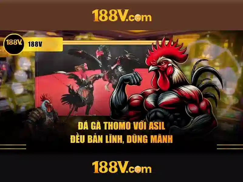 code 188v mới nhất