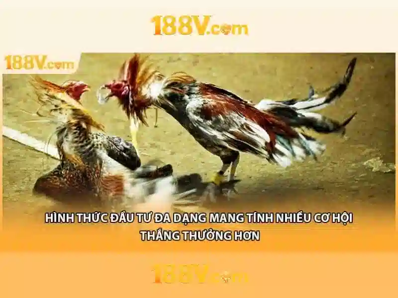 Ưu Đãi Đặc Biệt Cho Thành Viên 188V