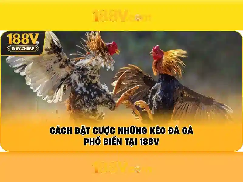 Đăng Nhập 188V – Hỗ Trợ 188V 24/7 Cho Người Chơi Slot