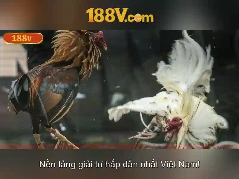 188V – Trang Chủ 188V – Slot Game, Casino, Bắn Cá, Nổ Hũ, Tải App 188V Chính Thức 2026