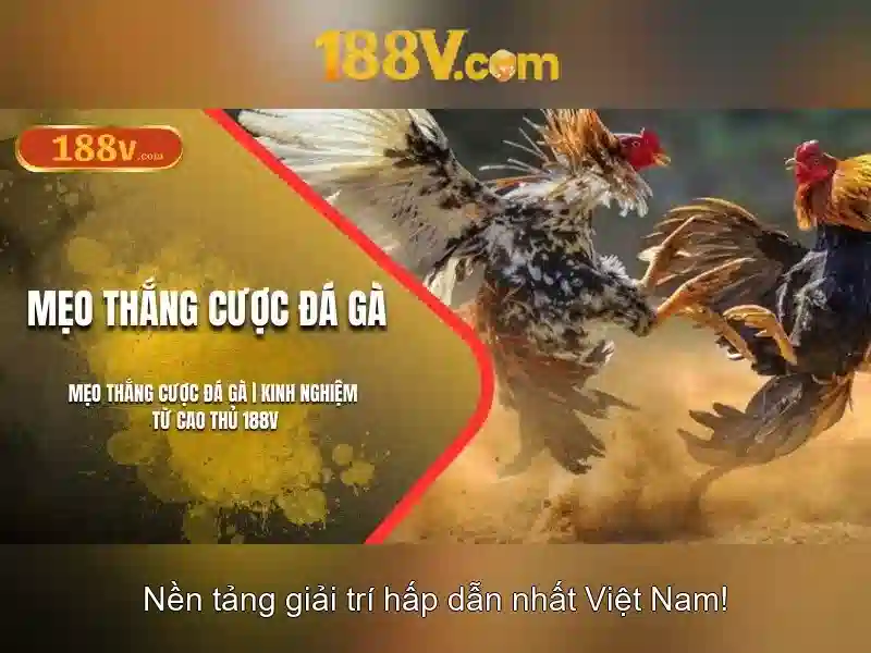 Công nghệ Slot 188V