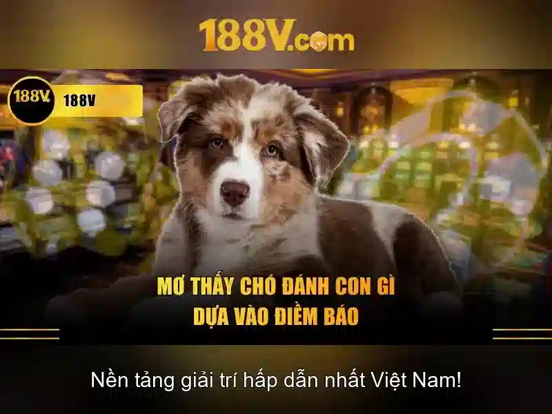 188V – Link Vào Trang Chủ 188V Chính Thức Không Bị Chặn 2026