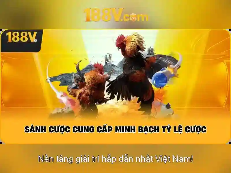 Khuyến Mãi 188v