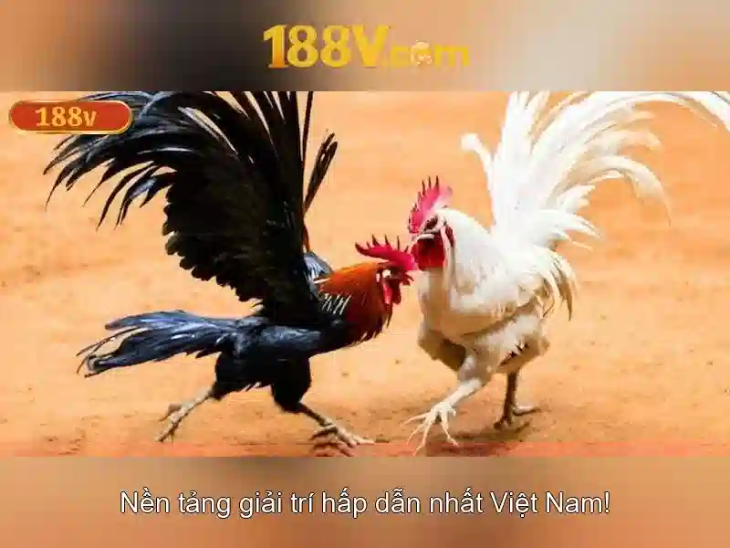 Chương trình 188v free