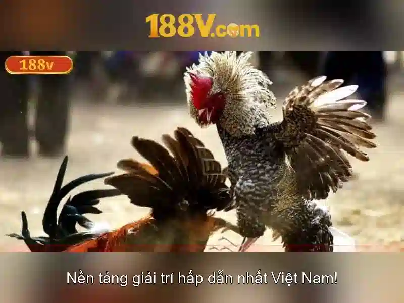 Ưu điểm tải 188V