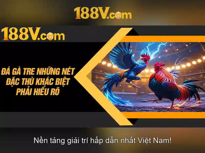 review 188v