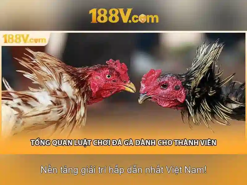 188V – Đăng Nhập Trang Chủ Slot 188V Chính Thức Không Bị Chặn 2026