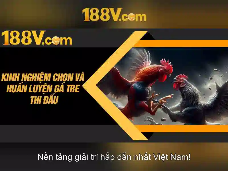 Quy Trình Đăng Nhập 188V Đơn Giản Cho Người Mới