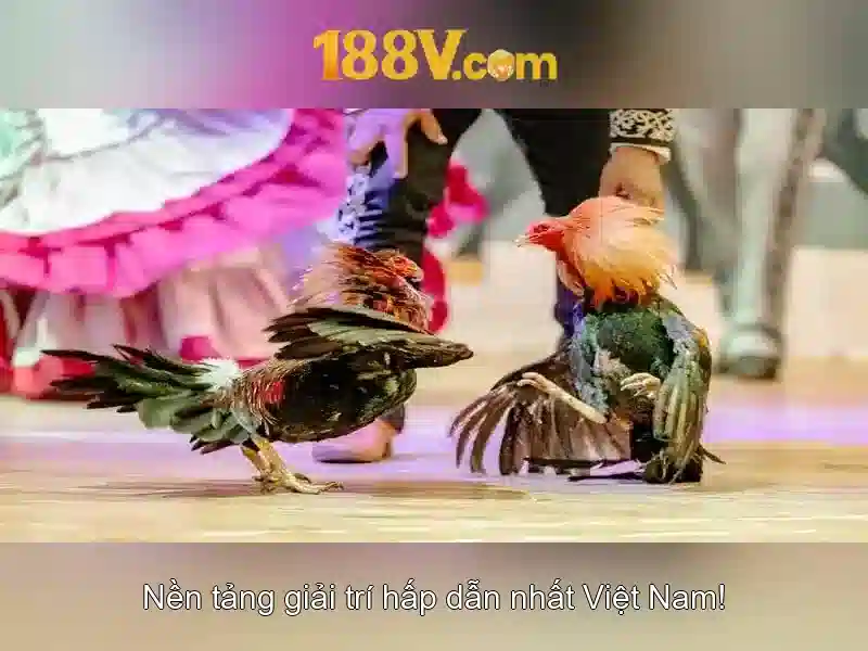 Cá Cược Trực Tuyến 188V