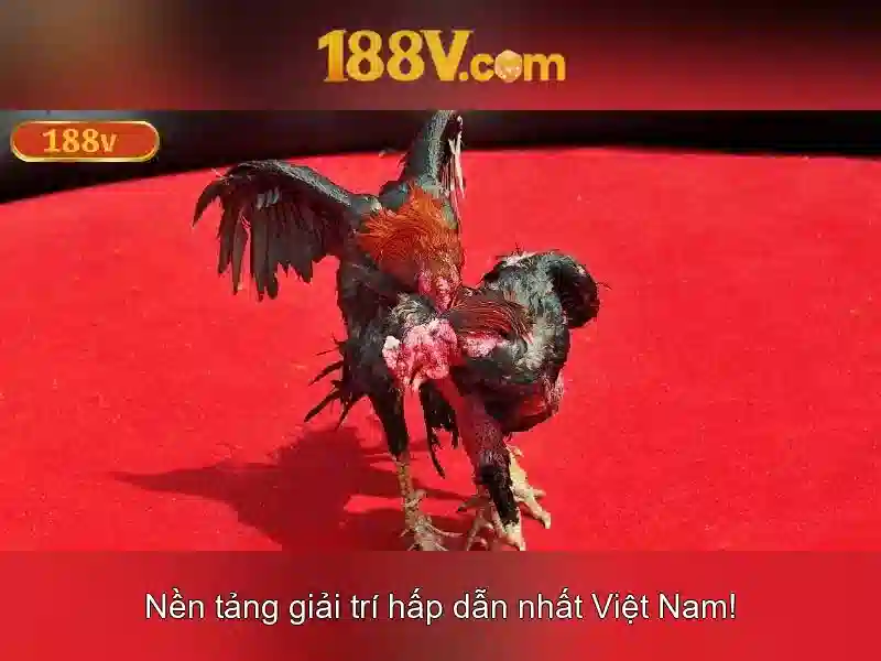 Trải Nghiệm Di Động Với 188V
