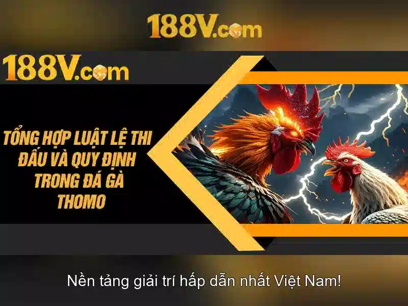 Đánh Giá 188v – Trải Nghiệm Người Chơi Thực Tế