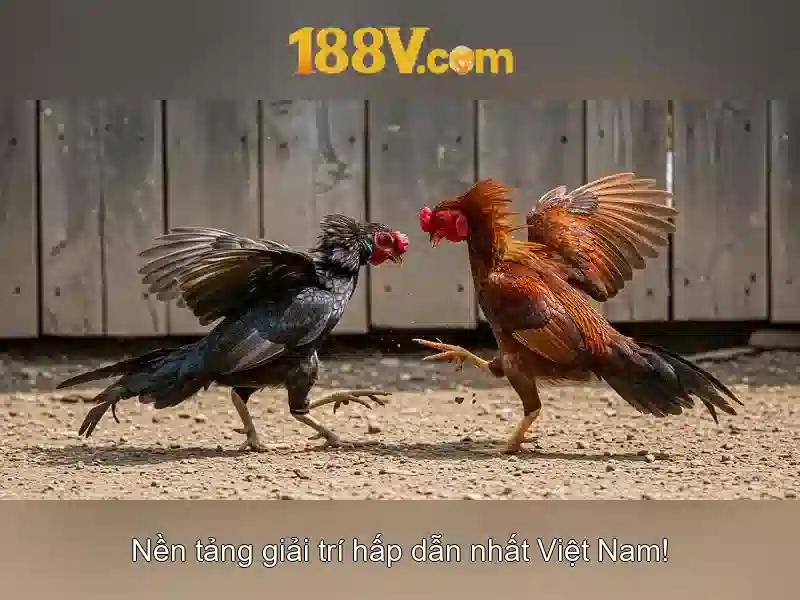 Nhận Thưởng Slot