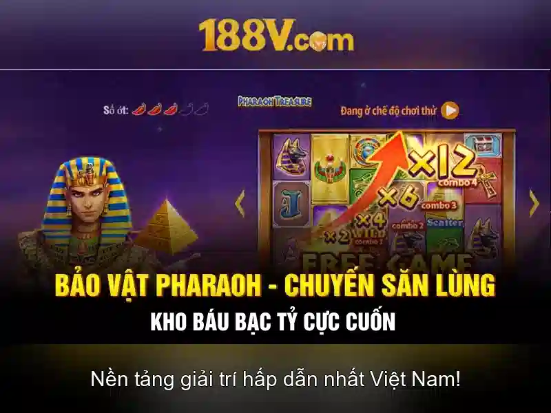 Trải Nghiệm Cá Cược