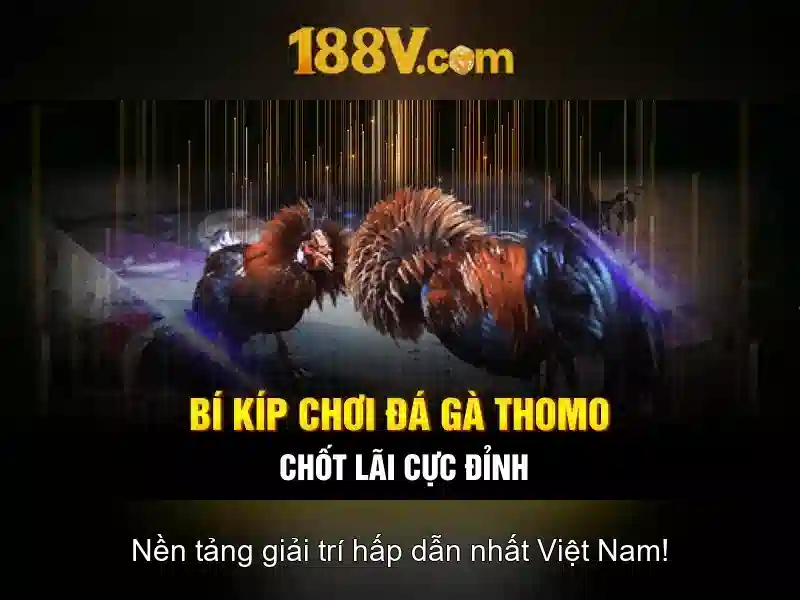188V – Trang Chủ Chính Thức Không Bị Chặn 2026: 188V Có Hợp Pháp Không?