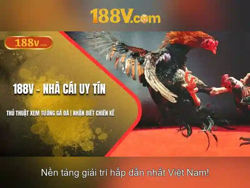 188v – Trang Chủ Nhà Cái 188v Chính Thức Không Bị Chặn 2026
