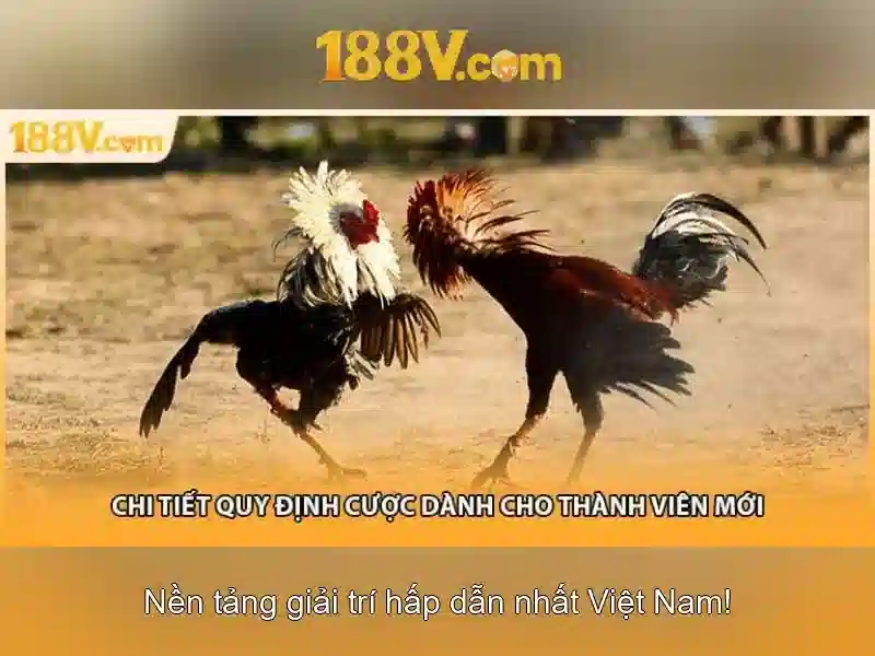 Review 188v – Đánh Giá Chi Tiết Về Nền Tảng SLOT Hàng Đầu 2026