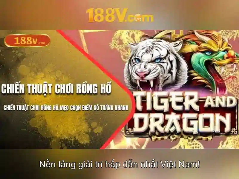 Sử Dụng Dịch Vụ