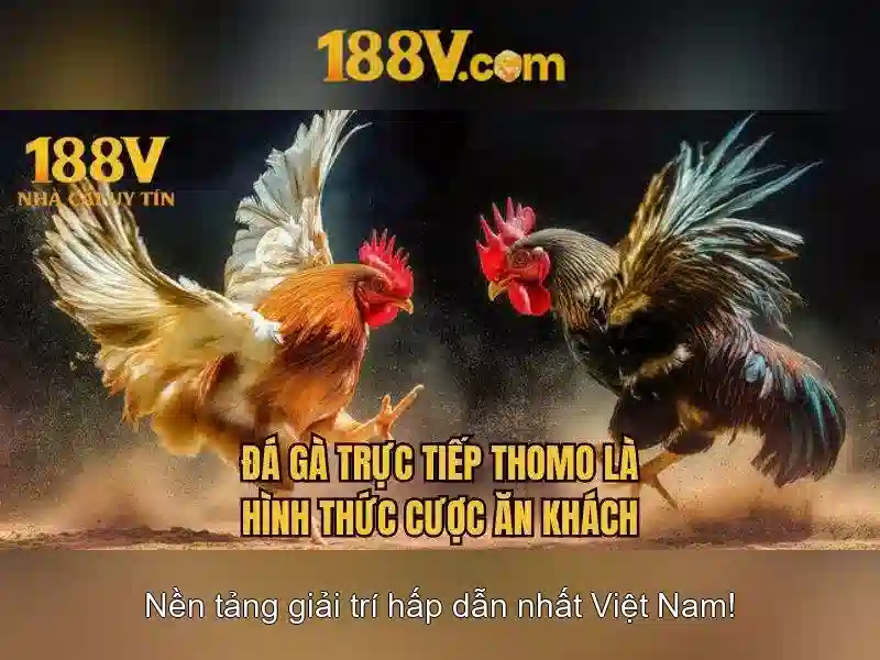 Ưu đãi đăng nhập 188v