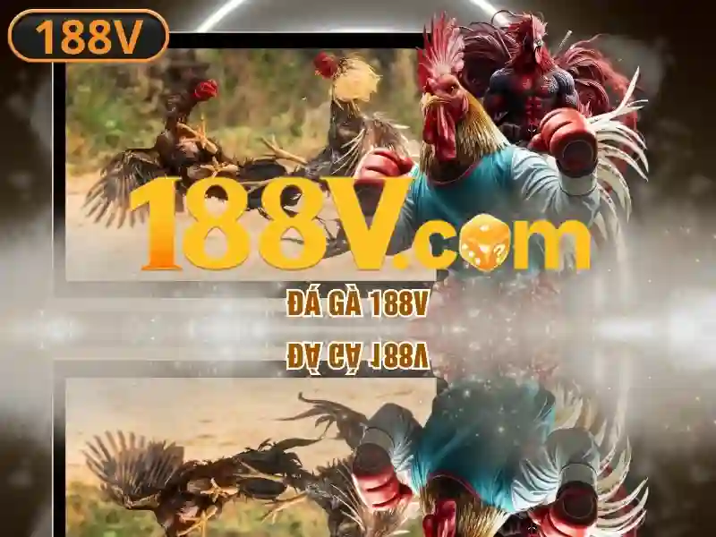 Đá Gà 188V