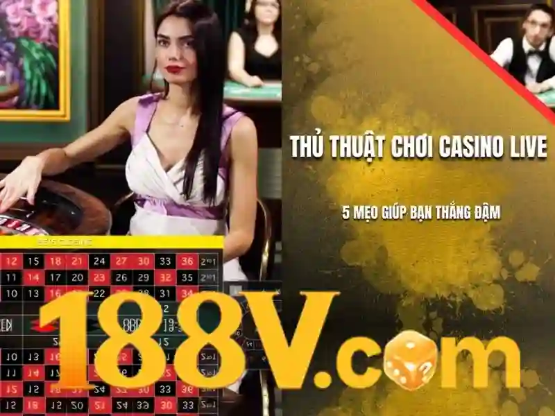 Dịch Vụ Slot Đa Dạng